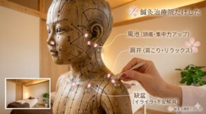 鍼灸の経絡人形を用いたツボの解説画像。風池、肩井、缺盆の位置と効果(集中力アップ、リラックス、不安解消)を表示。