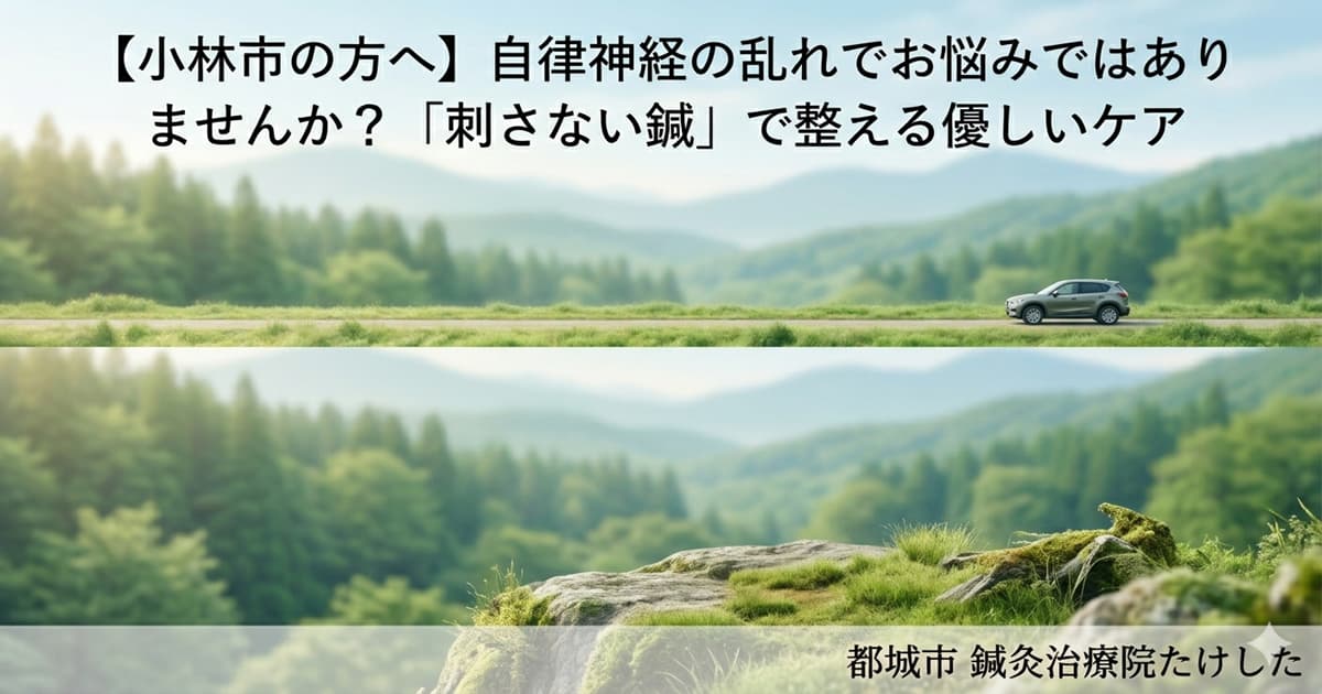 小林市から都城市へ向かうドライブ風景と霧島連山のイメージ画像。自律神経を整える鍼灸治療院たけしたのご案内。