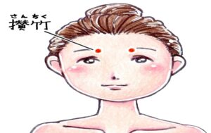 都城市の鍼灸師が教える眼精疲労に効くツボ「攅竹(さんちく)」の押し方